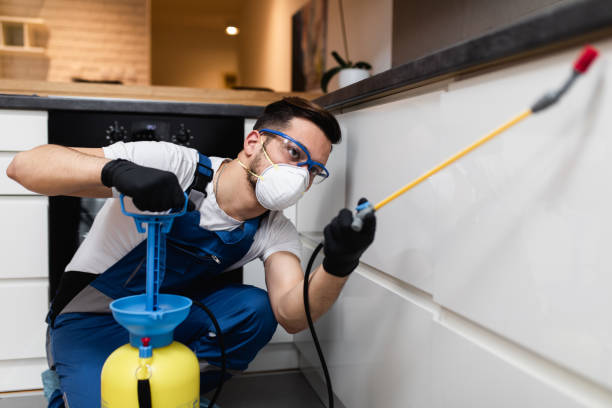 Best Affordable Pest Control Services  in Chula Vista, TX