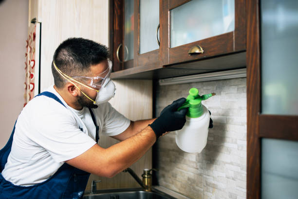 Best Cockroach Control Services  in Chula Vista, TX