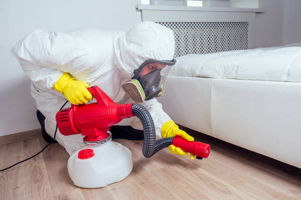 Best Pest Control Near Me  in Chula Vista, TX