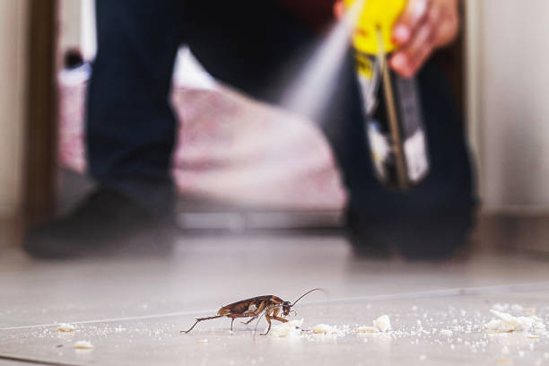 Best Exterminator Services  in Chula Vista, TX