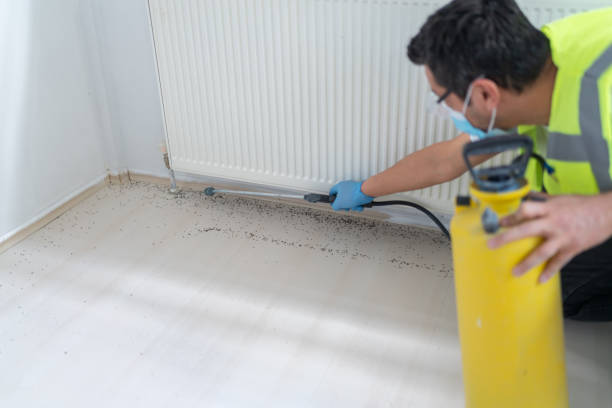 Best Bed Bug Extermination  in Chula Vista, TX